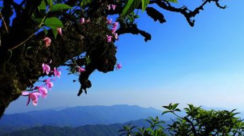 雷公山门票预订_雷公山门票价格_雷公山门票多少钱_玩