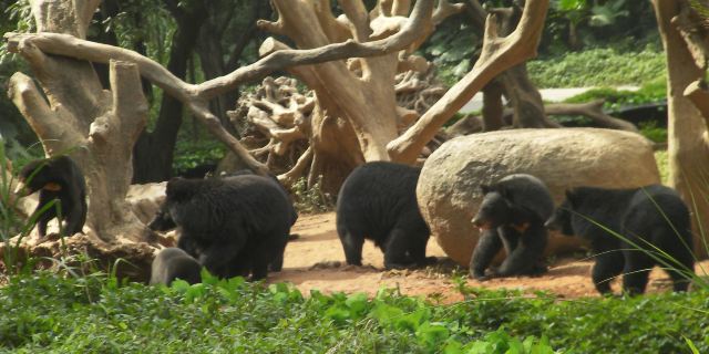 长隆野生动物园_广州_百度地图