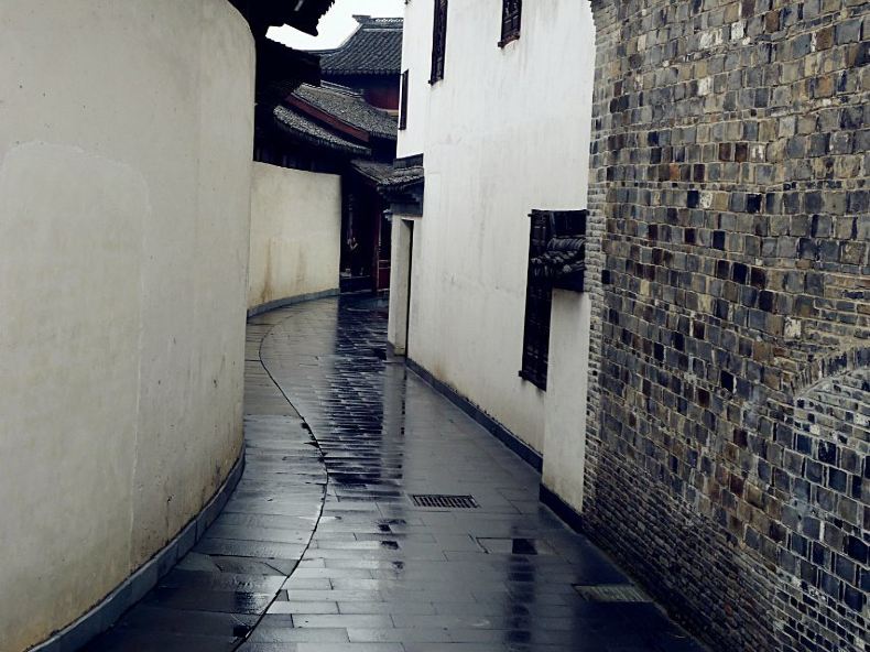 《杭州西湖&桐乡乌镇》五月末,一场乘着火车的旅行