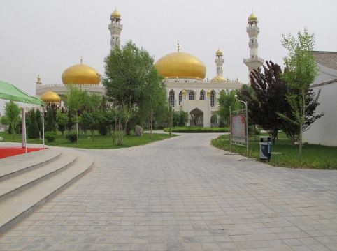 中华回乡文化园知识充电