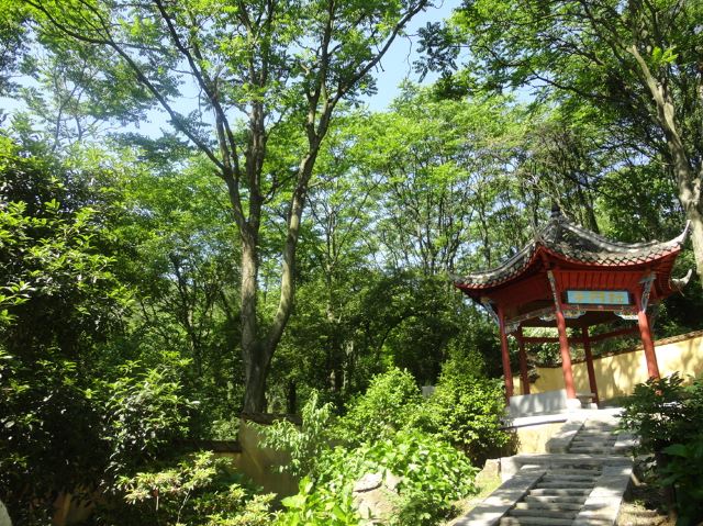 高淳玉泉寺——站在高处