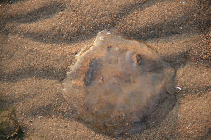乘着基辅号航母,张开天津之眼,畅游秦皇岛 (8日