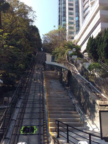 马年春节带孩子4日自由行功略 - 香港游记攻略