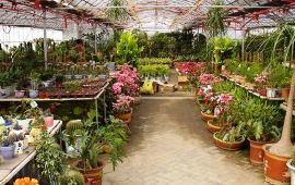 【周家庄园天气预报】嘉兴周家庄园天气预报一