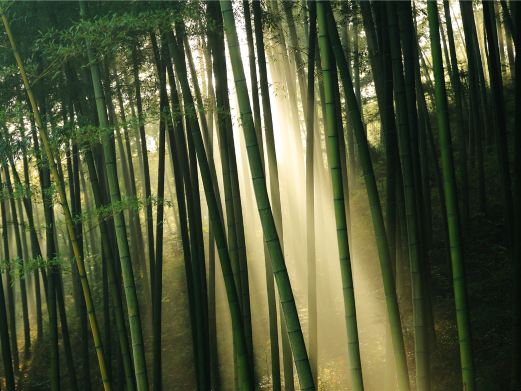 宜兴风景图片,宜兴旅游景点照片\/图片\/图库\/相册