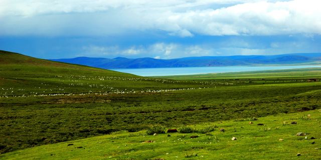 邦达草原-介绍,门票,点评,照片,视频,攻略,线路,