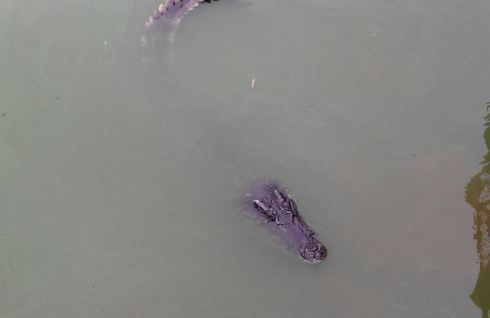 南昌动物园一天游玩 - 南昌游记攻略【携程攻略