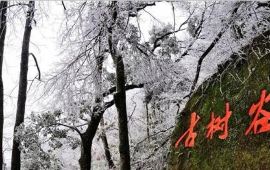 【清远金子山原生态旅游风景区天气预报】连山