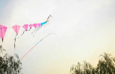 武汉-南昌-上海-景德镇-上海攻略自驾-景德镇萝卜第保卫关2游记2图片