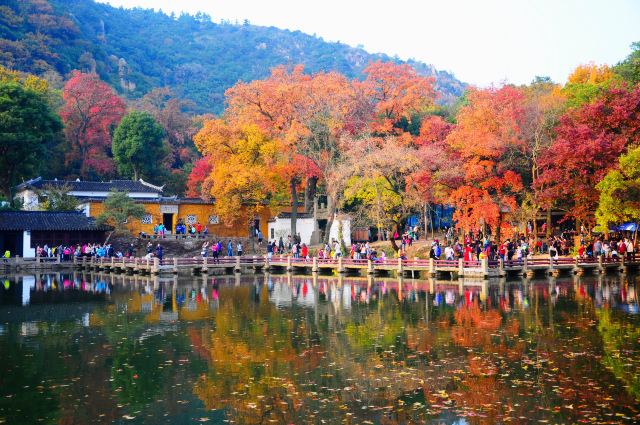 苏州天平山观红枫