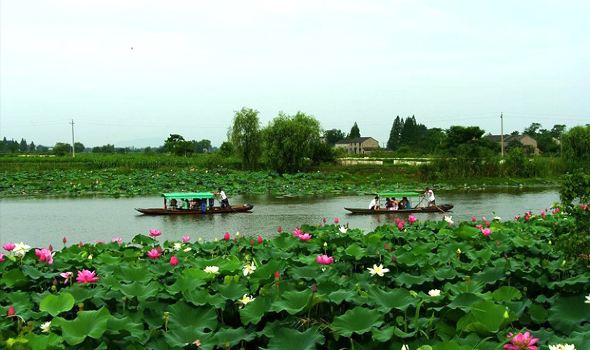 【芜湖县印象】芜湖县旅游怎么样_芜湖县哪里好玩_评论_点评 - 携程