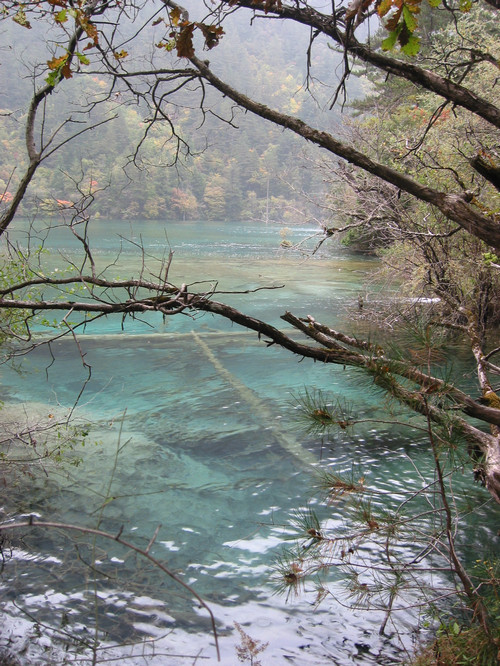 水木清华九寨沟