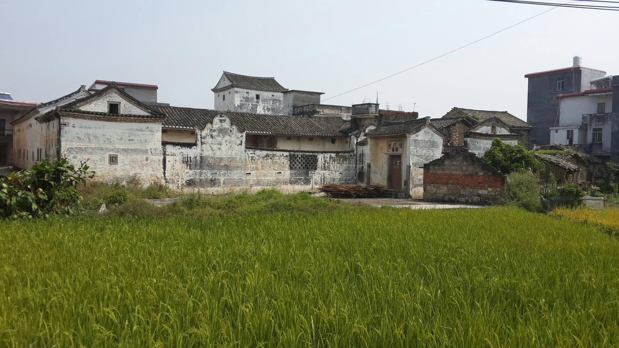 去乡村体验乡土风情