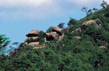 慈溪五磊山景区门票,慈溪五磊山景区攻略 地址 图片 门票价格高清图片