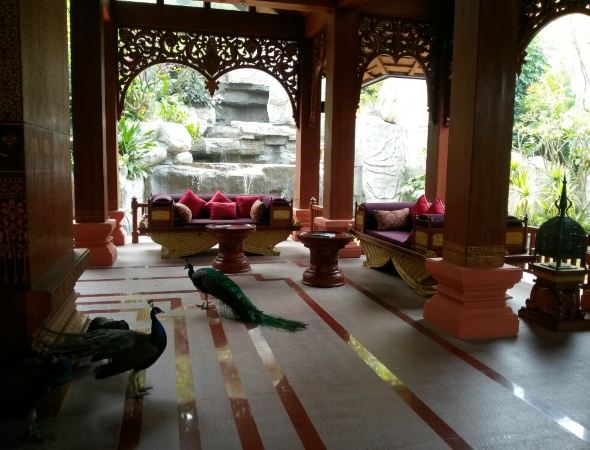 唯美西双版纳 - 西双版纳游记攻略