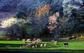 【师宗天气预报】师宗天气预报一周查询,明天