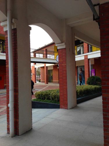 【加游站】大丰麋鹿自然保护区 - 大丰游记攻略