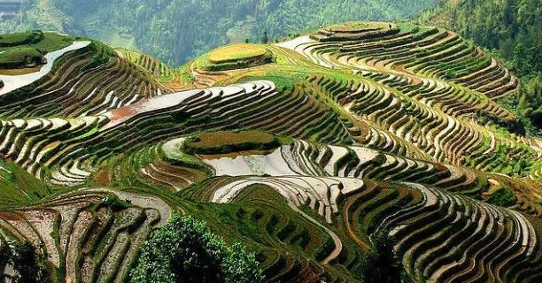 德格拉朗梯田-介绍,门票,点评,照片,视频,攻略,线路,地图,天气温度-携程旅行社区