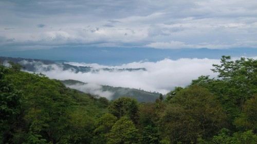 屏边大围山图片