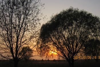 上海周边西塘、崇明二日自驾游 - 崇明游记攻略