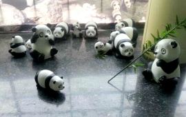 郑州河南省体中心熊猫艺术展天气预报,历史气