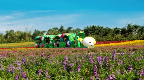 玩不啦景点门票 广东门票 广州门票 南沙百万葵园