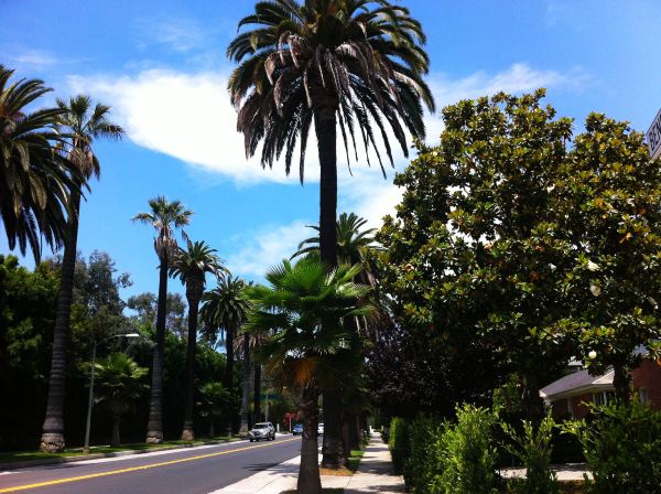 美国自驾西行漫记之三:天使之城洛杉矶