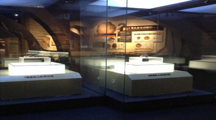 直立人化石 (2).jpg