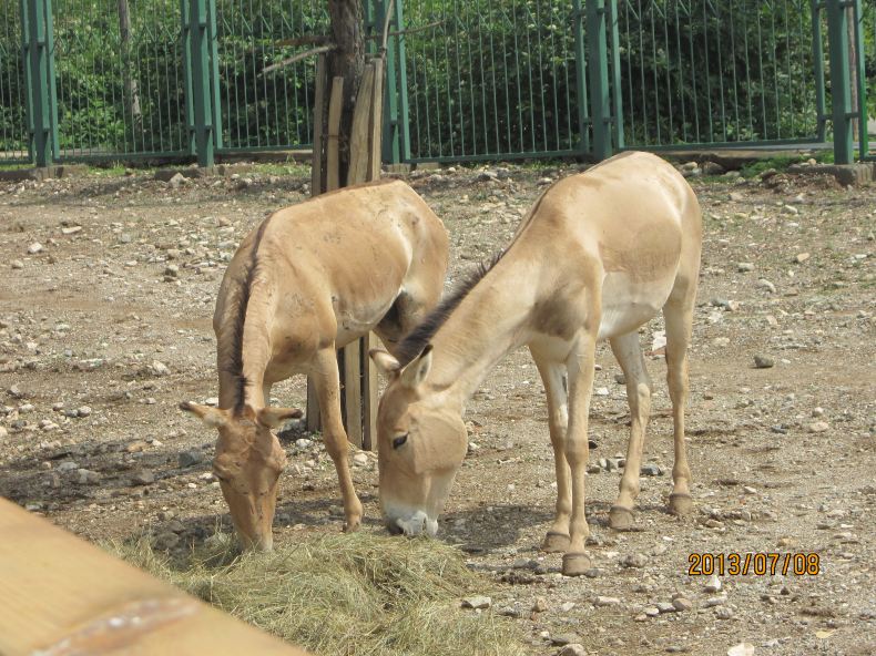 携程旅游 携程攻略社区 马尔代夫一月一岛考察