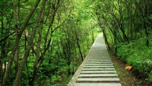 郧西风景图片,郧西旅游景点照片\/图片\/图库\/相册