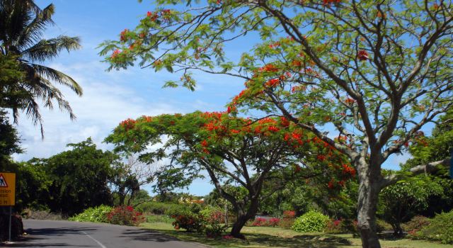 【加游站】【海外租车】毛里求斯 全程自驾游