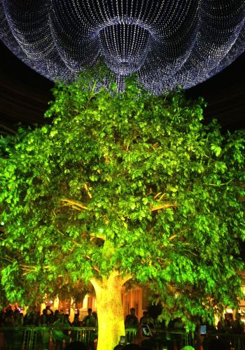 两日游走Macau - 威尼斯游记攻略