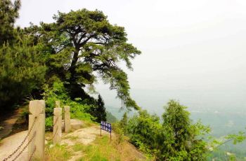 太蓬山,南充太蓬山攻略/地址/图片/门票【携程攻略】