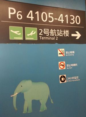 7天6晚贵州大地千里自由行 - 贵阳游记攻略