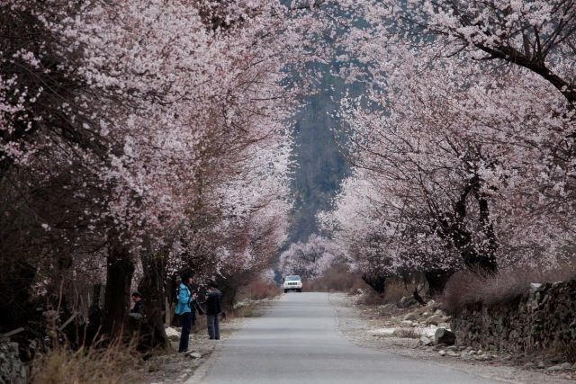 桃花沟