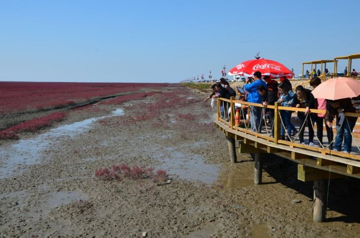【十一奇观东自驾之四】水果风景深圳滩,游记攻略红海世界图片