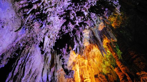 安康旅游照片,安康景点图片,图库,相册–携程社区