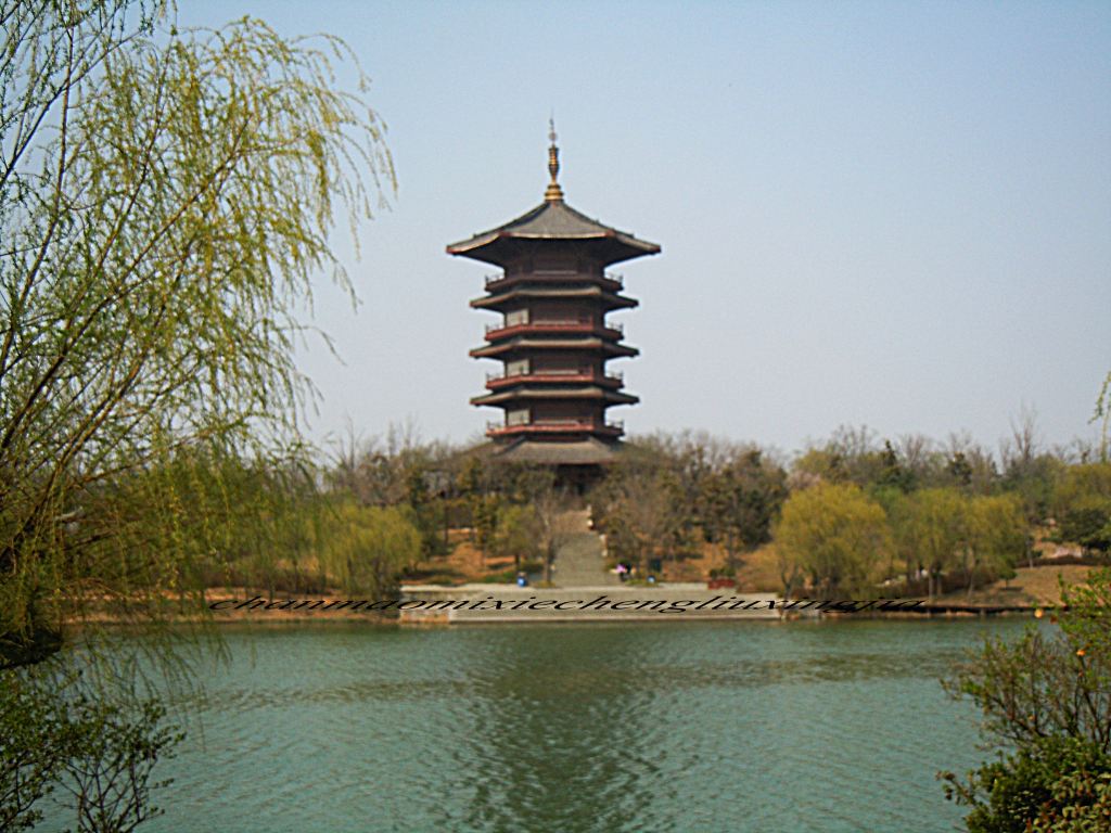 潍坊#加游站#潍坊白浪绿洲国家城市湿地公园