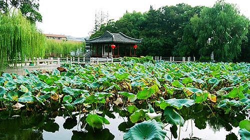 阳澄湖v视频视频,阳澄湖照片图片,景点,雷雨携图库天a视频相册图片
