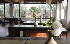 厦门顶上人家天气预报,历史气温,旅游指数,顶上