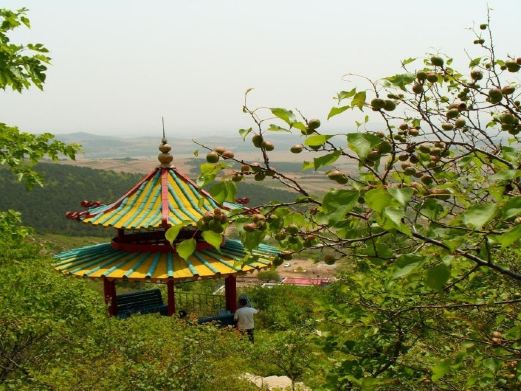 宝力根寺 千佛山 巨龙湖 章古台沙地森林公园 乌兰山 东郊湖风景区 三