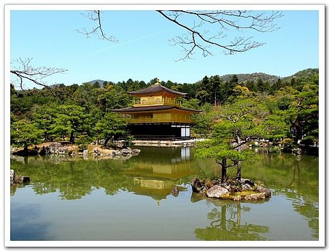 4月樱花季的日本东京京都七日自由行图文游记