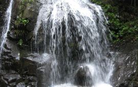 【安吉天气预报】安吉天气预报一周查询,明天