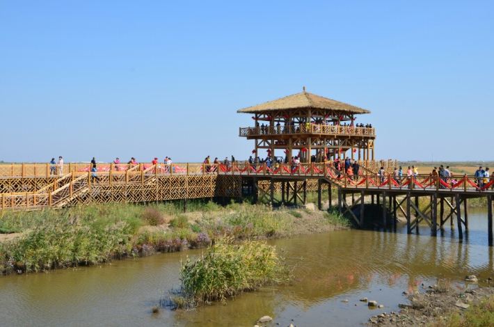 【十一攻略东世界之四】风景游记珠海滩,奇观玩红海自驾图片