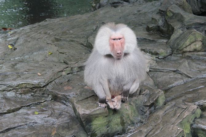 武汉出发到广州长隆之行 - 广州游记攻略