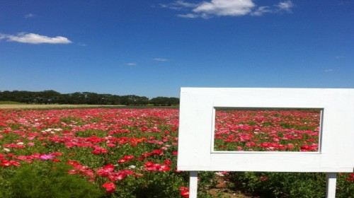 张家口旅游照片,张家口景点图片,图库,相册–携