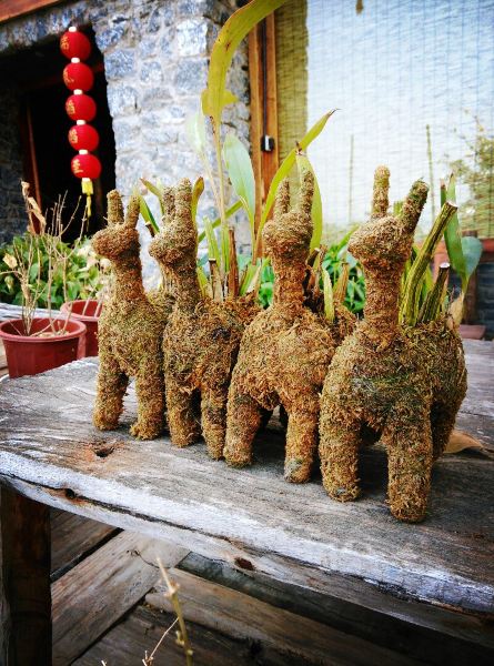 久违的说走就走,邂逅一场云南四季如春的发呆