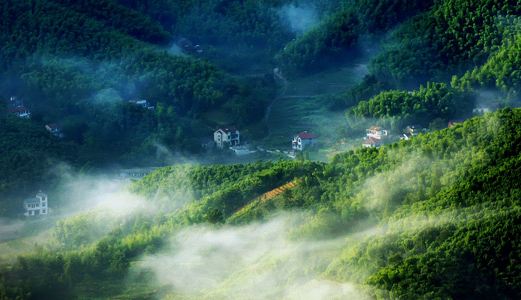 安吉旅游照片,安吉景点图片,图库,相册–携程社区