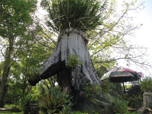 芭提雅风景图片,芭提雅旅游景点照片\/图片\/图库