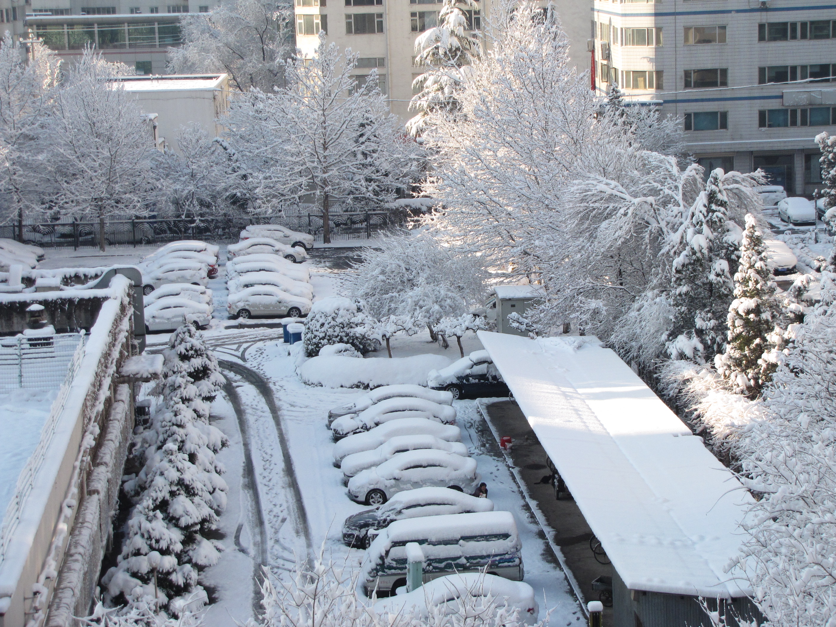 今年冬天北京无雪,奉献我保存的前二年四次雪景照片